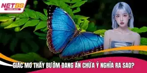 Giấc mơ thấy bướm