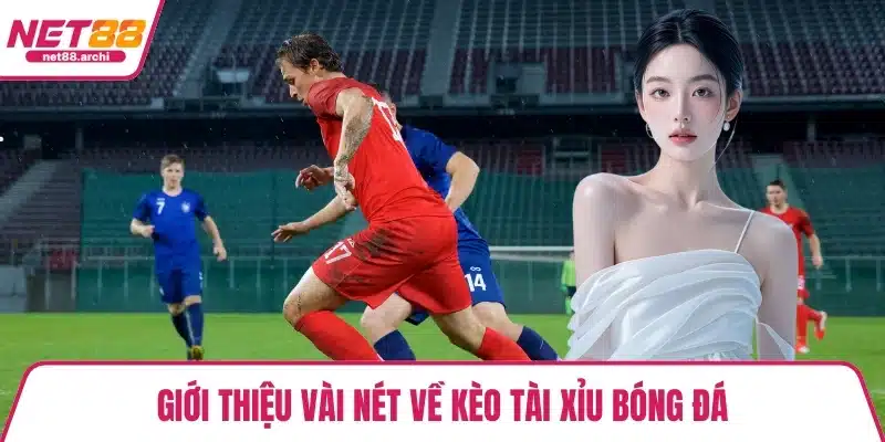 Giới thiệu vài nét về kèo tài xỉu bóng đá