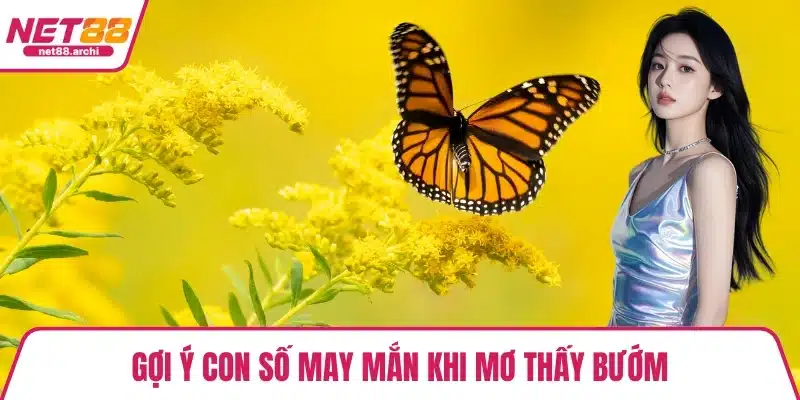 Gợi ý con số may mắn khi mơ thấy bướm